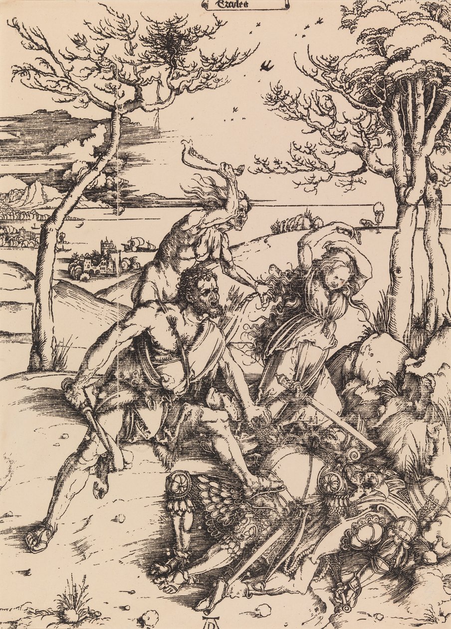 Ohne Titel von Albrecht Dürer