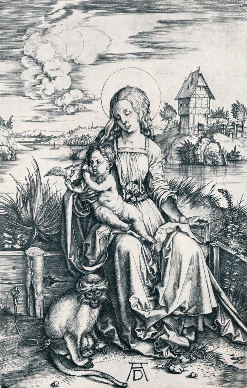 Jungfrau und Kind mit einem Affen, 1506 von Albrecht Dürer