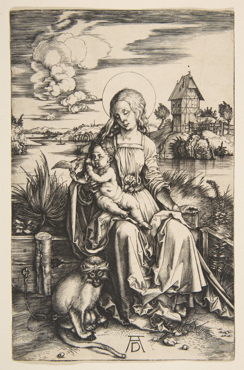 Jungfrau und Kind mit dem Affen von Albrecht Dürer