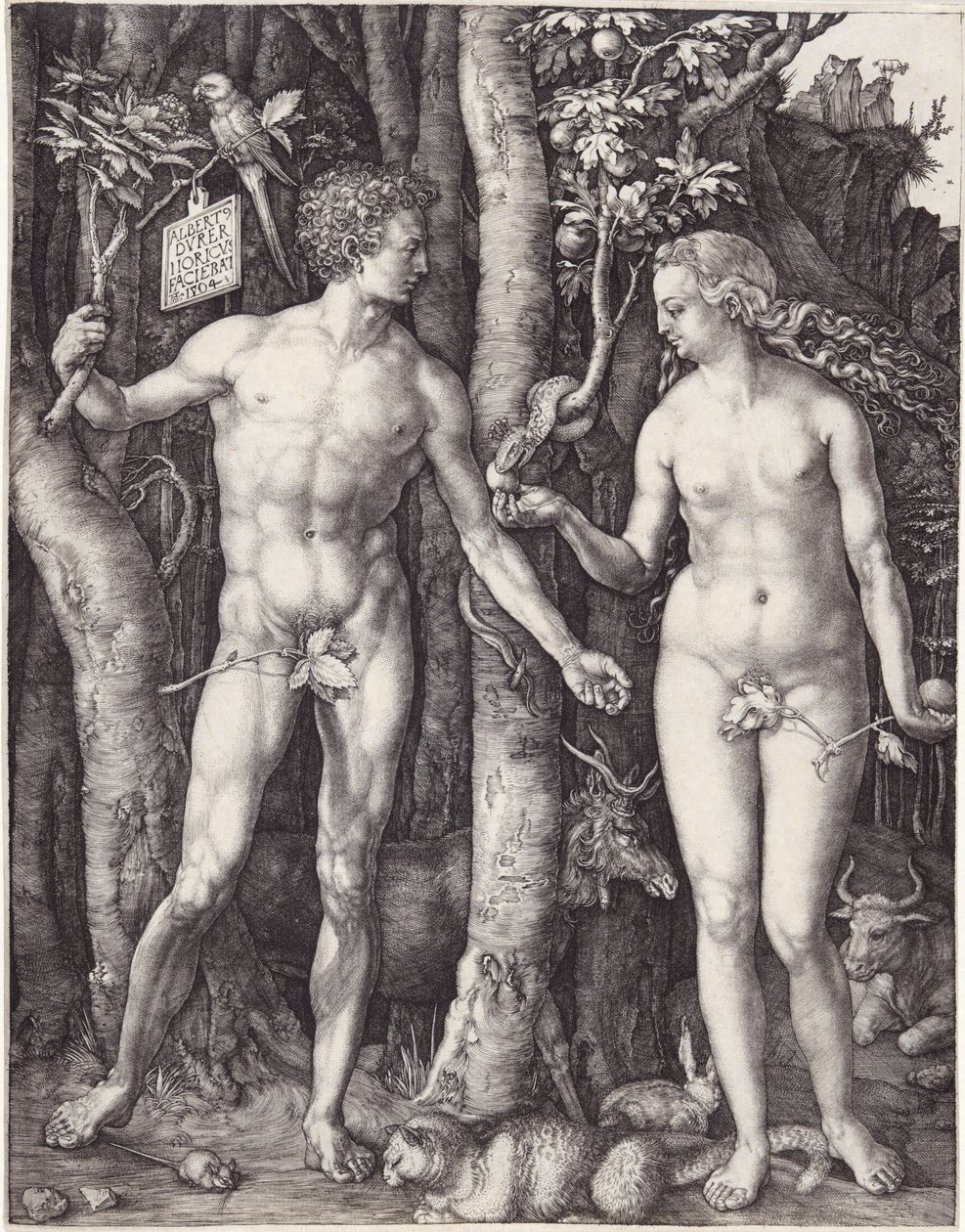 Adam und Eva, veröffentlicht 1504 (Gravur) von Albrecht Dürer