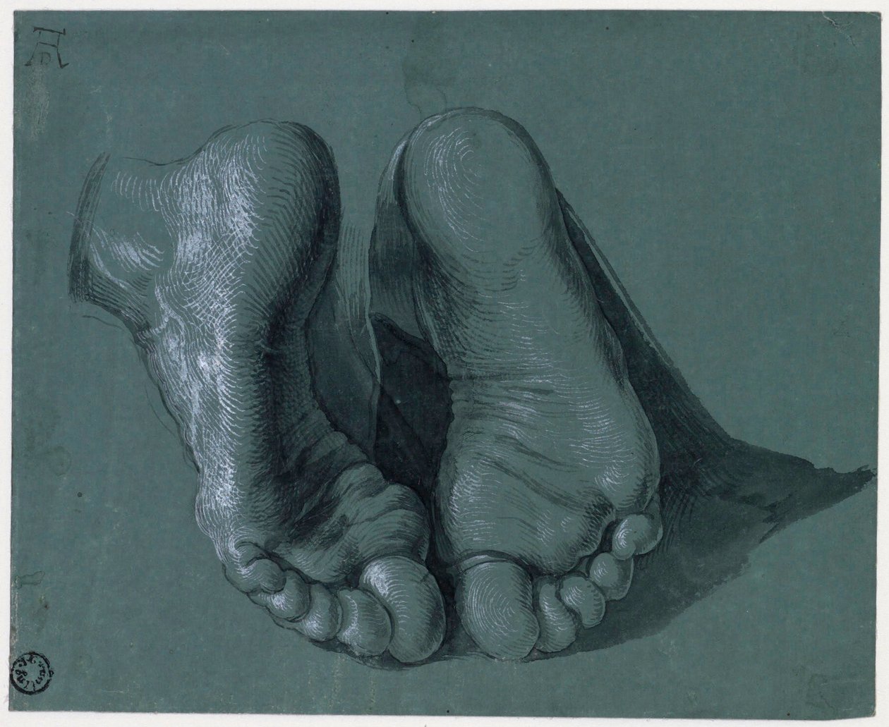 Studie von zwei Füßen - Zeichnung von Albrecht Dürer (1471-1528), Aquarell, weiße Farbe, schwarze Kreide auf Papier, ca. 1508 (17,6x21,6 cm) - Museum Boijmans Van Beuningen, Rotterdam von Albrecht Dürer