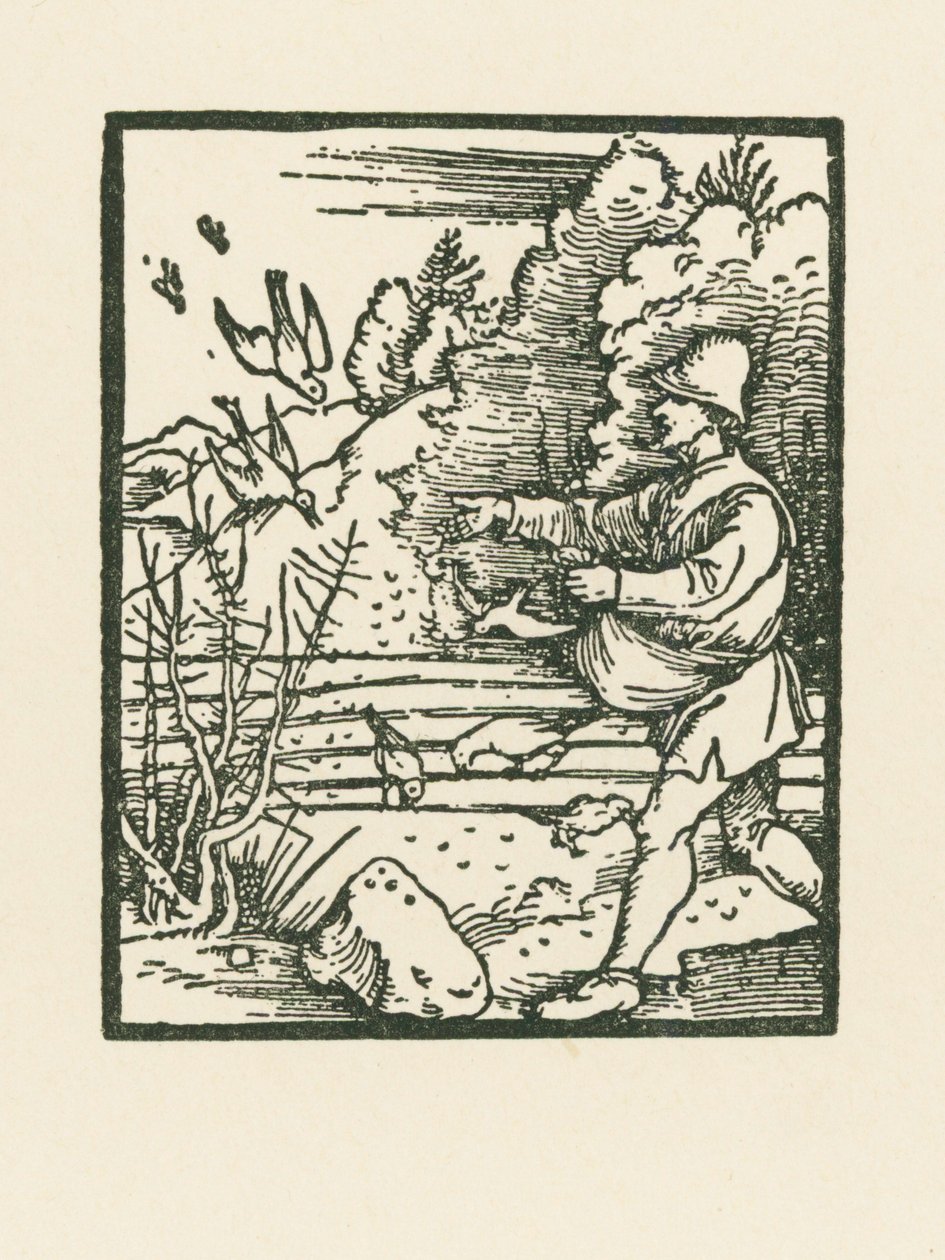 Das Gleichnis vom Sämann von Albrecht Dürer or Duerer