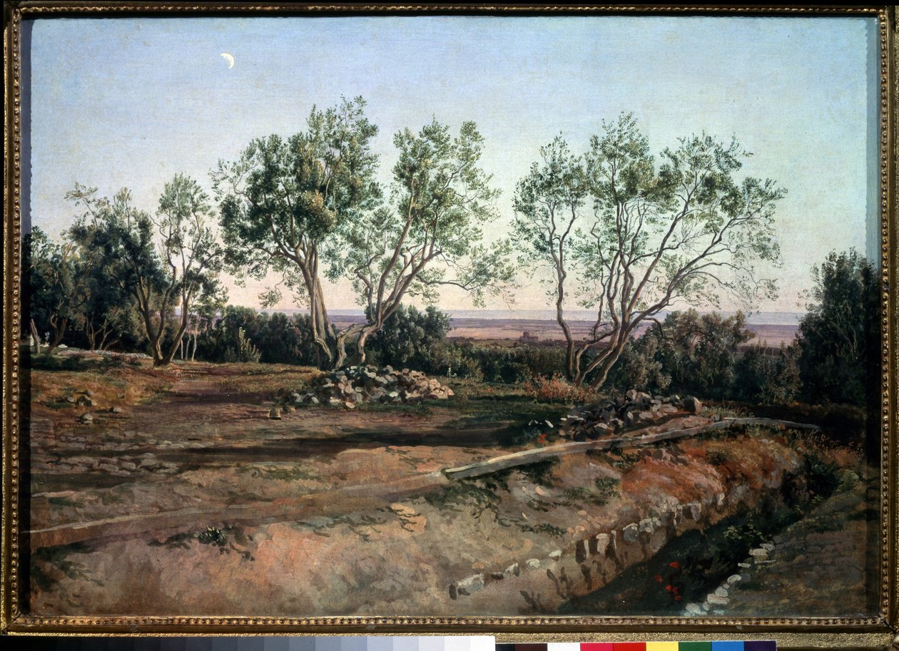 Olivenbäume nahe dem Friedhof von Albano von Aleksandr Andreevich Ivanov