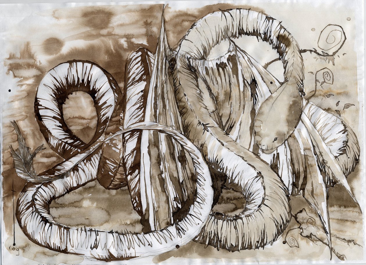 Illustration eines fantastischen und legendären Tieres: Drache mit schlangenlangem Körper von Alessandro Lonati