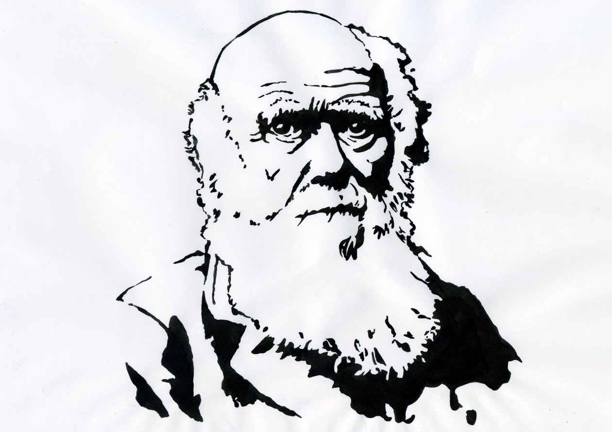 Porträt von Charles Darwin - Porträt des englischen Naturforschers Charles Darwin (1809-1882). von Alessandro Lonati