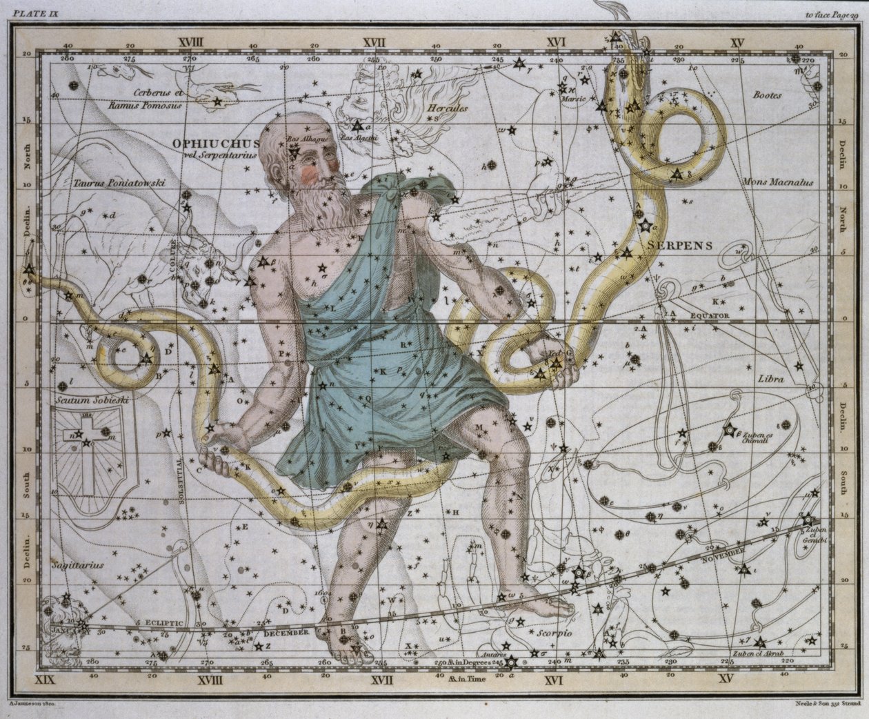 Ophiuchus oder Serpentarius, aus 