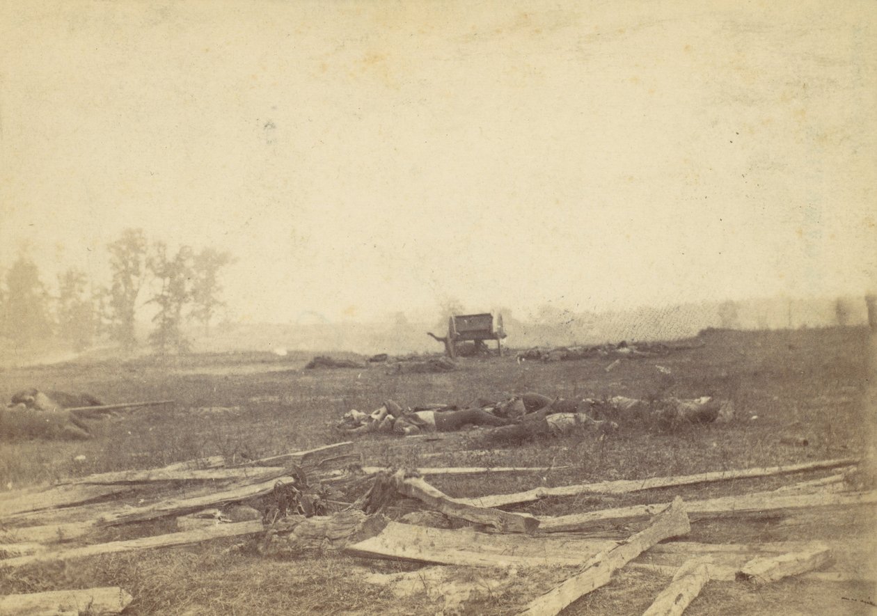 Ansicht des Schlachtfeldes von Antietam, September 1862, 1862 von Alexander Gardner