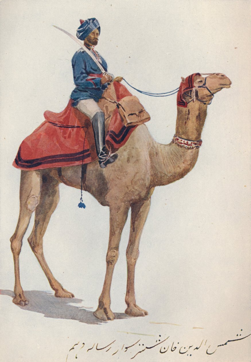 Ein Kamel-Sowar der 10. Bengal Lancers, c1880 1905 von Alexander Henry Hallam Murray