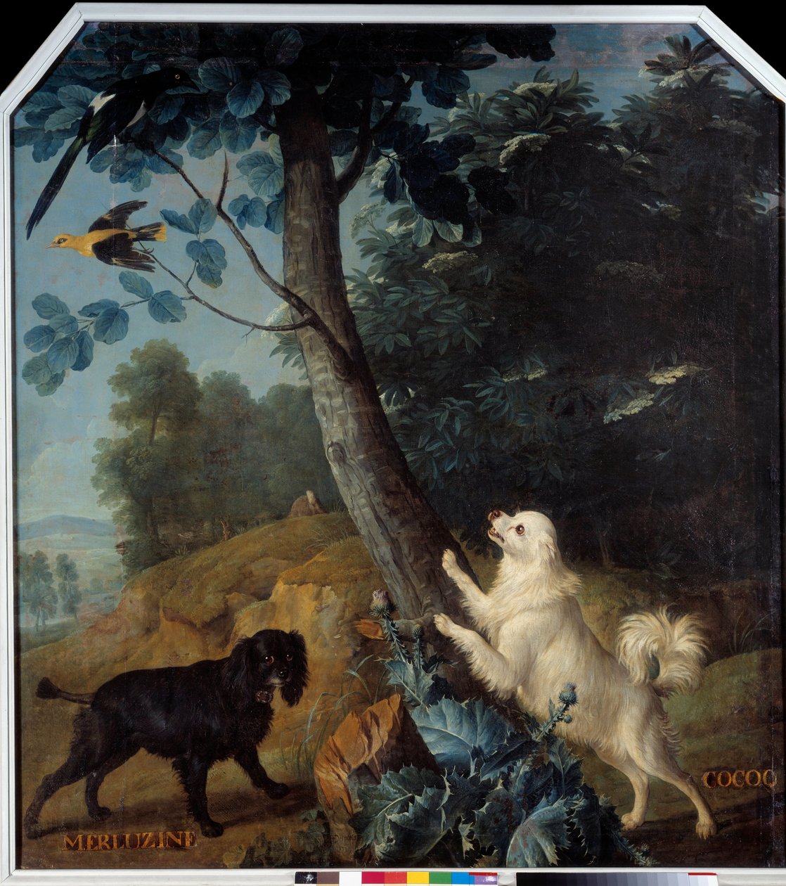 Merluzine und Cocoq, die Hunde von Ludwig XIV. (1638-1715) von Alexandre Francois Desportes
