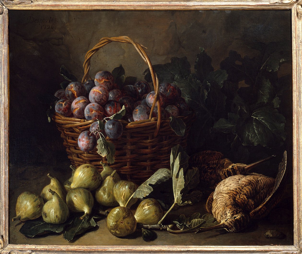 Stillleben, Feigen und Pflaumen von Alexandre Francois Desportes