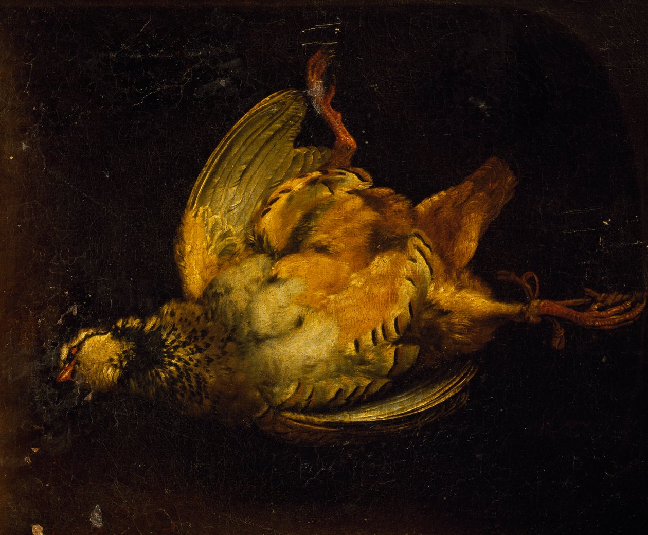 Stillleben mit Rebhuhn, Gemälde von Alexandre-Francois Desportes, Frankreich von Alexandre Francois Desportes
