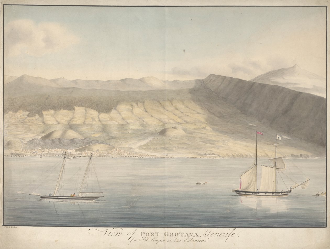 Ansicht von Port Orotava, Teneriffa, vom El Limpio de Las Calaveras von Alfred Diston