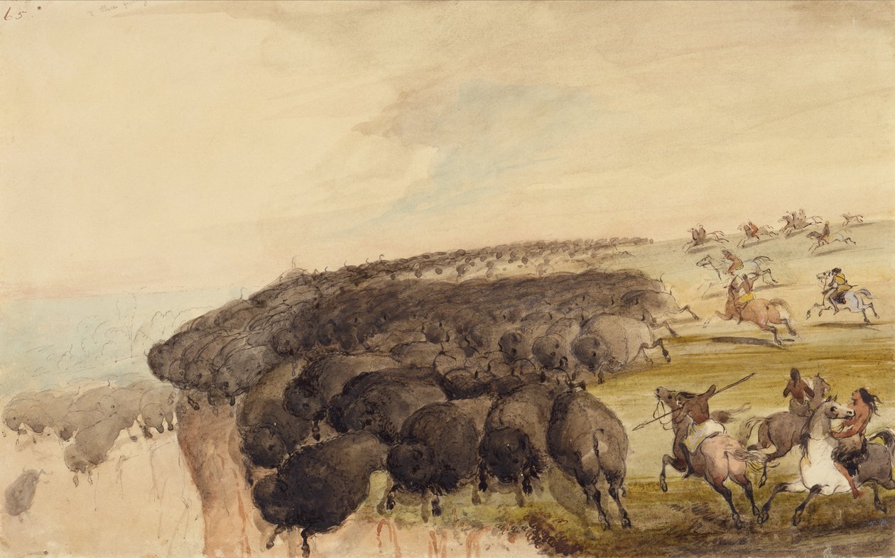 Büffelherden über einen Abgrund treiben, ca. 1837 von Alfred Jacob Miller