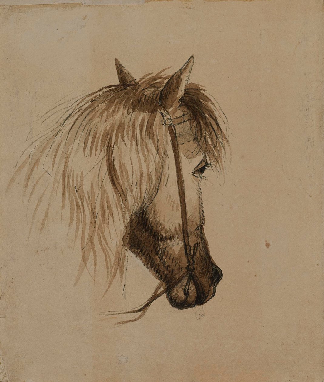 Kopf eines Pferdes von Alfred Jacob Miller