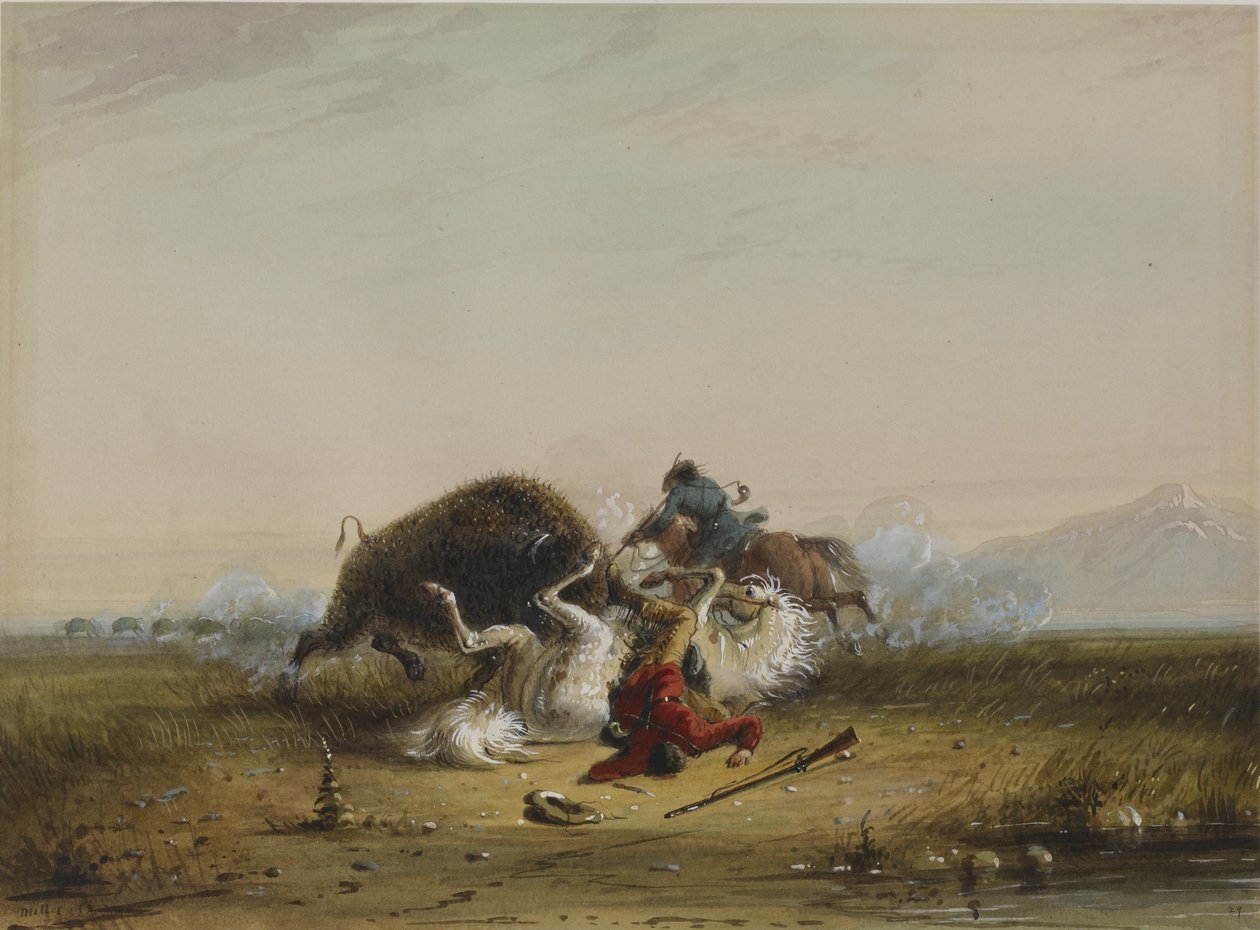 Pierre und der Büffel von Alfred Jacob Miller