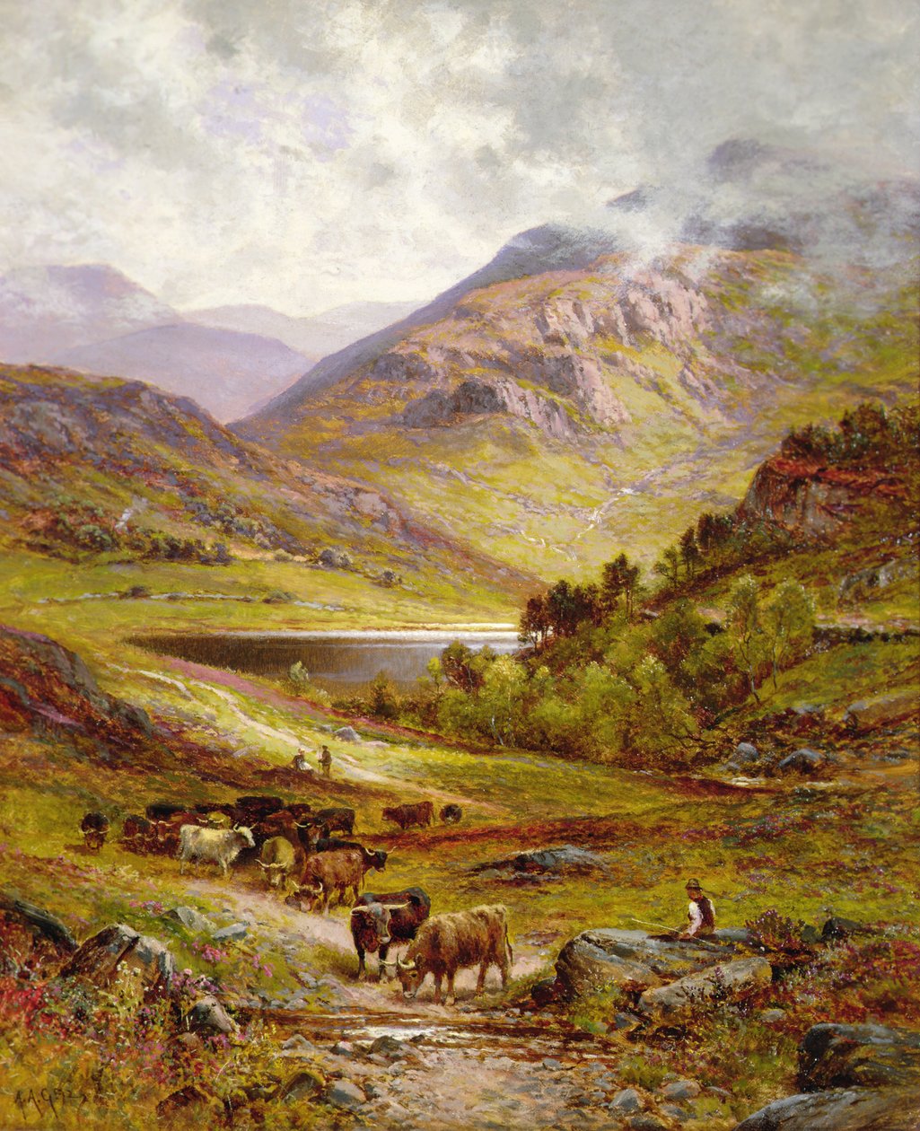 Langhornrinder in einer bergigen Landschaft von Alfred Jr. Glendening