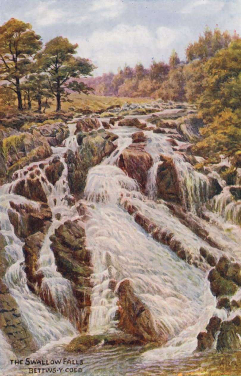 Der Schwalbenfall, Bettws-Y-Coed von Alfred Robert Quinton