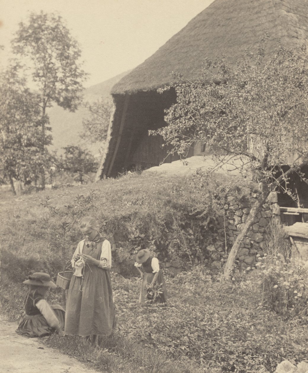 Ein Stück Gutach von Alfred Stieglitz