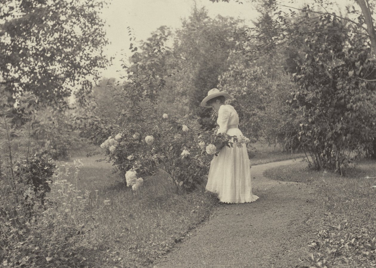 In Oaklawn von Alfred Stieglitz