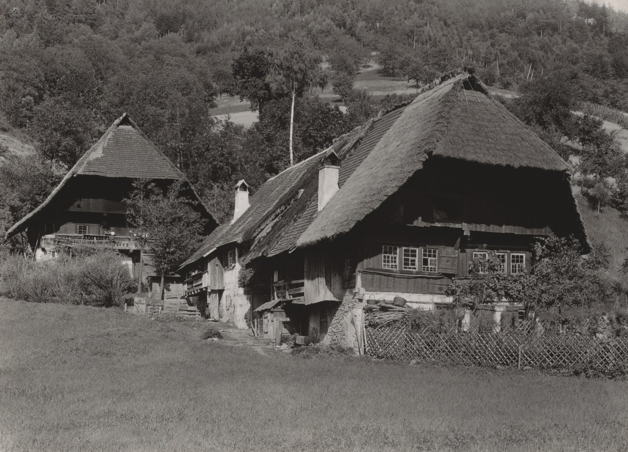 Schwarzwaldhaus von Alfred Stieglitz