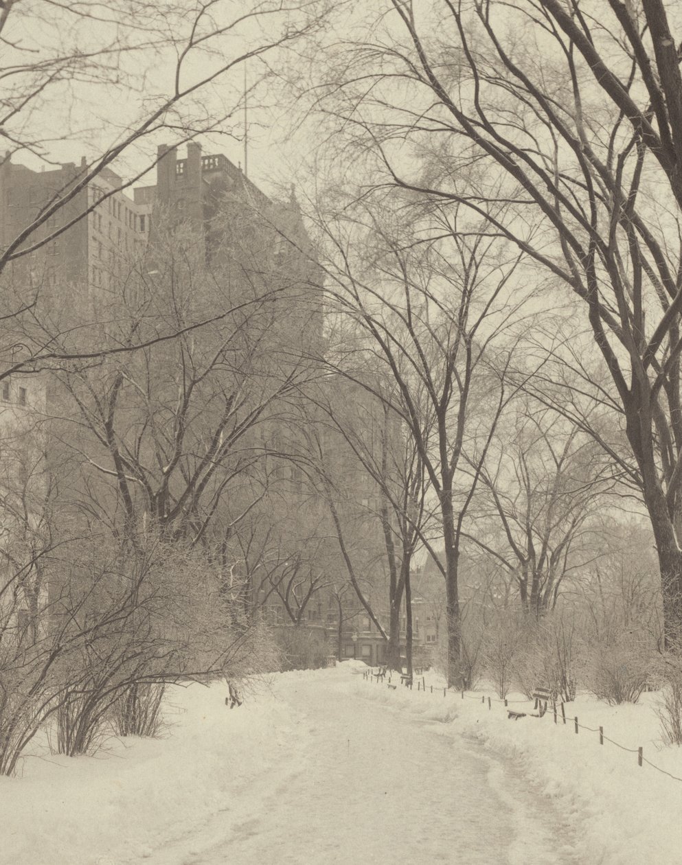 Im Park von Alfred Stieglitz