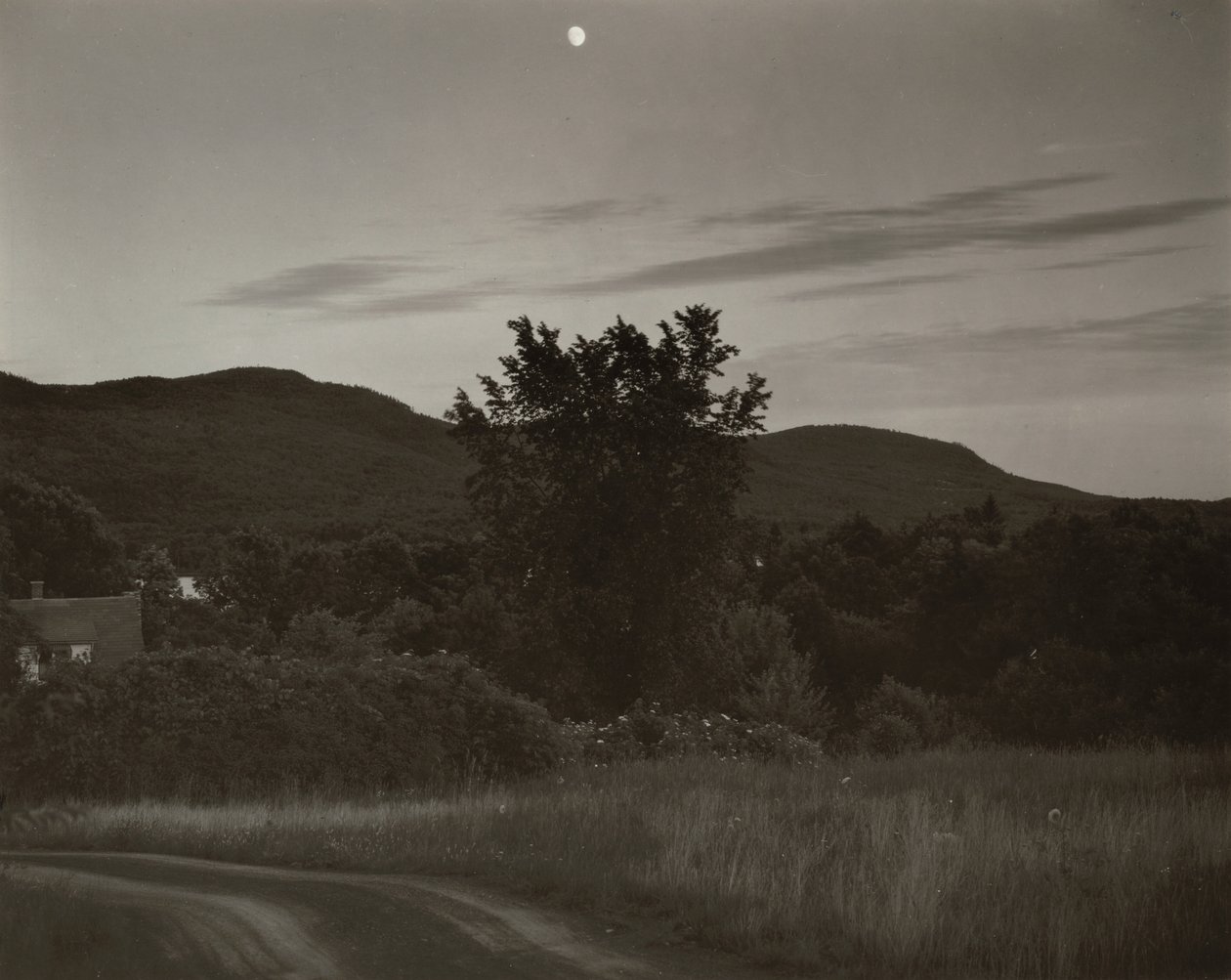 Lake George von Alfred Stieglitz