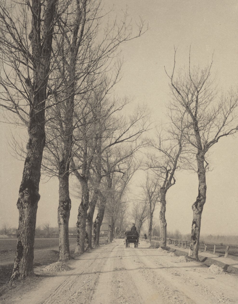 Novembertage von Alfred Stieglitz