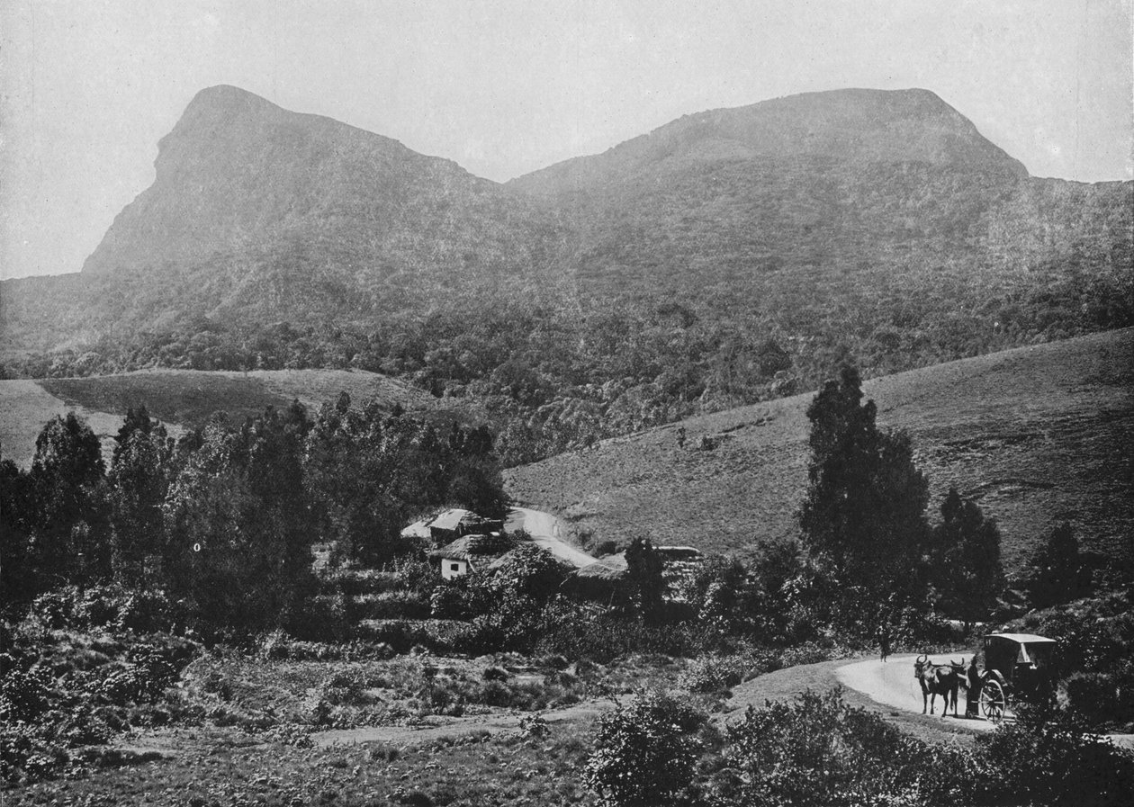 Auf dem Weg nach Hakgalla. Hakgalla-Felsen in der Ferne, c1890 von Alfred William Amandus Plate