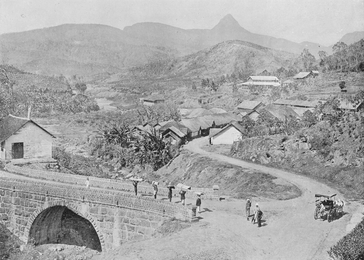 Blick auf Maskeliya mit Adams Peak, ca. 1890, 1910 von Alfred William Amandus Plate