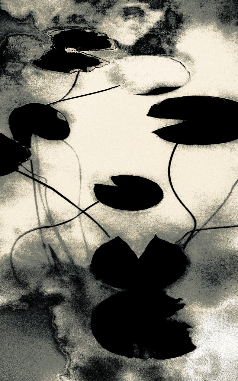 Goldstaubschatten, aus der Serie Frühling von Alice Gur Arie