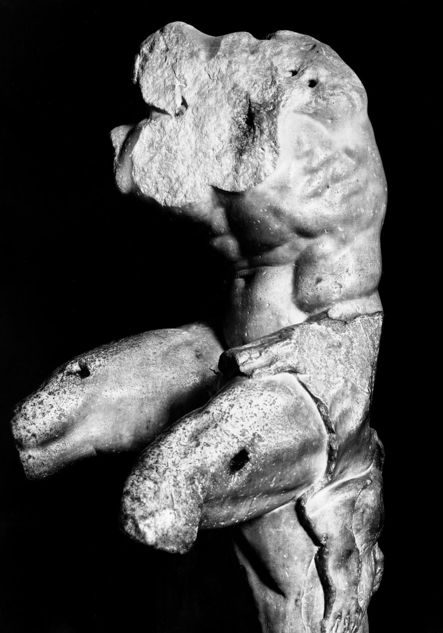 Der Belvedere-Torso von Apollonios von Nestor, ca. 1890 von Fratelli Alinari