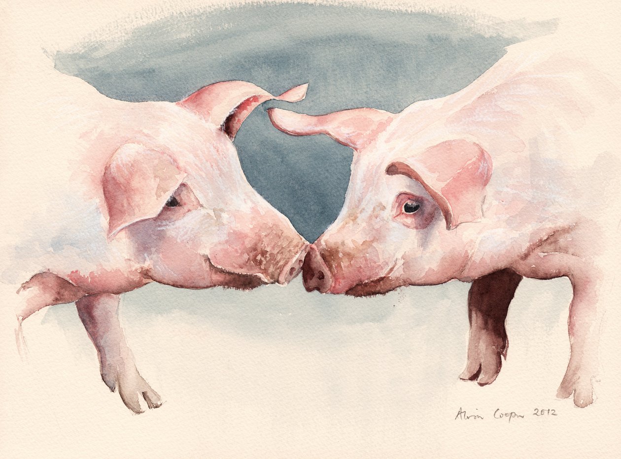 Zwei kleine Schweinchen, 2012 von Alison Cooper