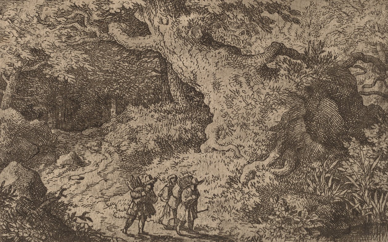 Ein dichter Wald, wahrscheinlich ca. 1645-1656 von Allart van Everdingen
