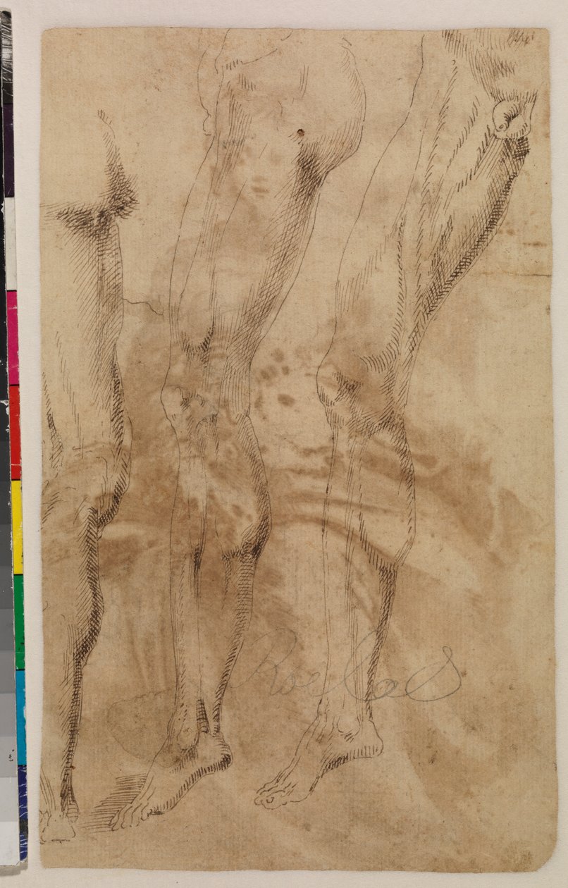 Drei Studien eines männlichen Beins (verso) c.1537 von Alonso (workshop of) Berruguete