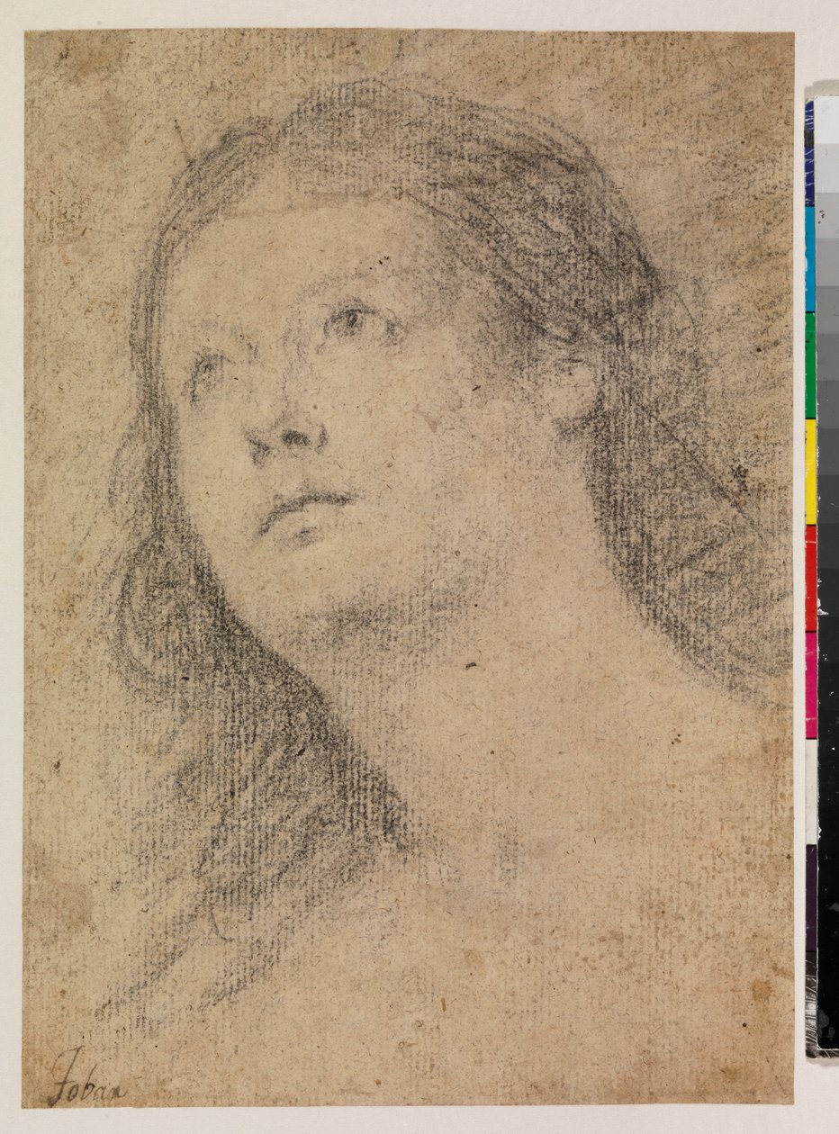 Kopf einer Frau, die nach oben schaut (recto) von Alonso Miguel de Tovar