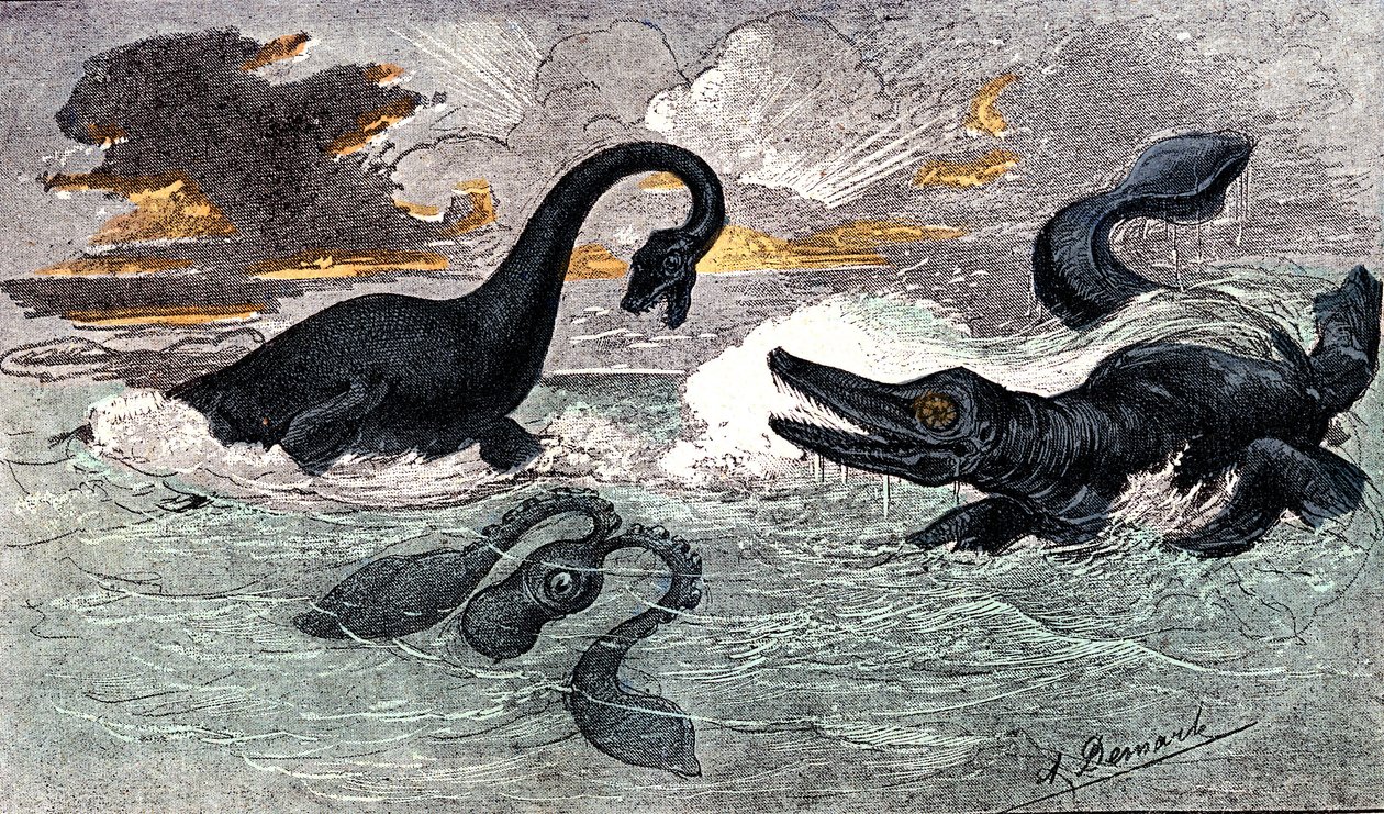 Lias-Periode (Unterjura): Plesiosaurier und Ichthyosaurier, natürliche Schöpfung und Lebewesen (Zeichnung von A. Demarle. 1885) von Alphonse Demarle