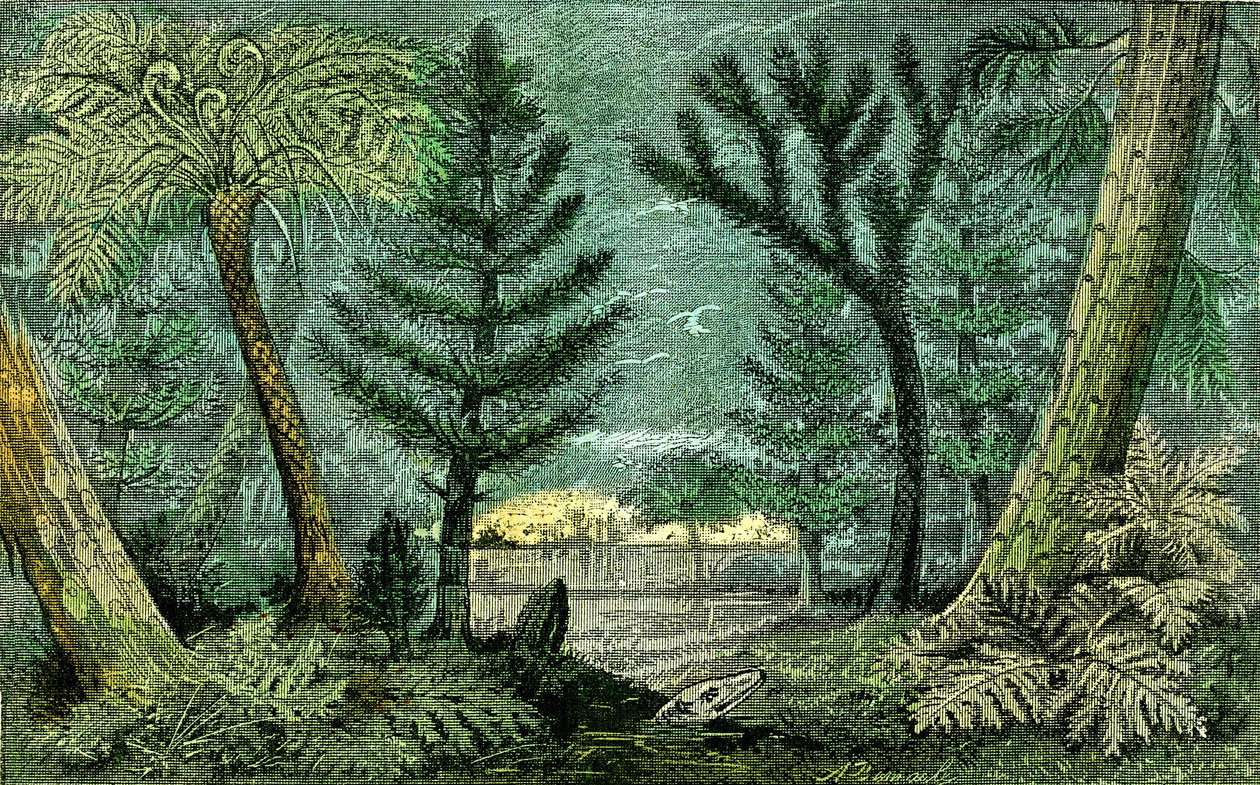 Prähistorie, Kohlezeit: Sumpf und Bohrung der Kohlezeit (J. Rrengade) von Alphonse Demarle