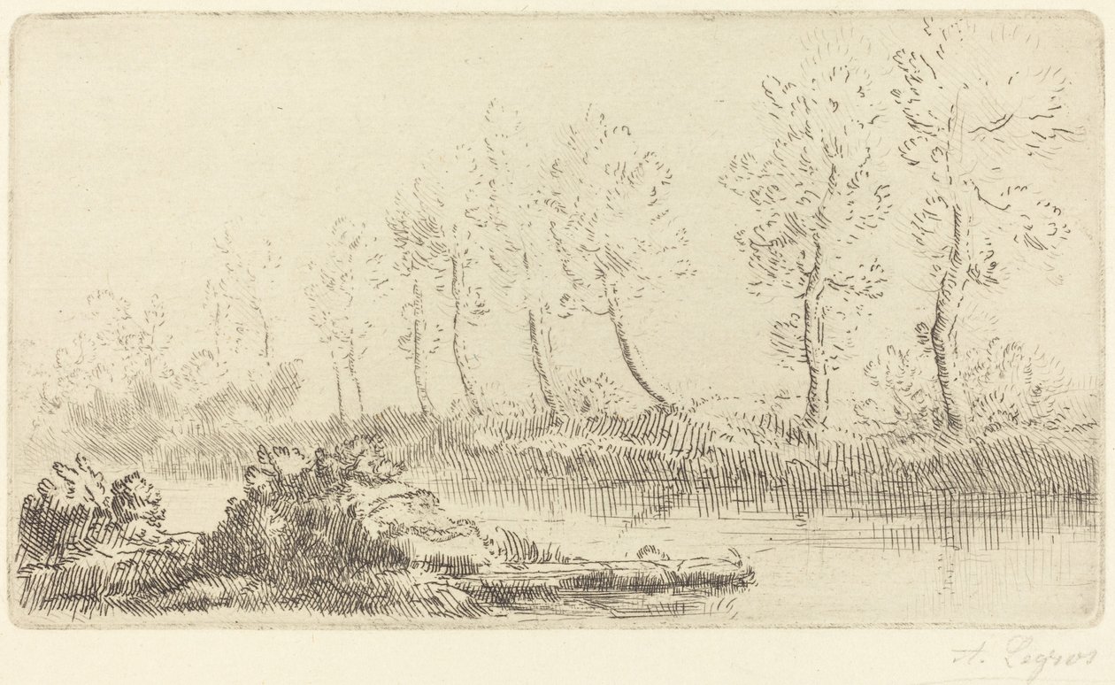 Ufer des Adour Bord de l