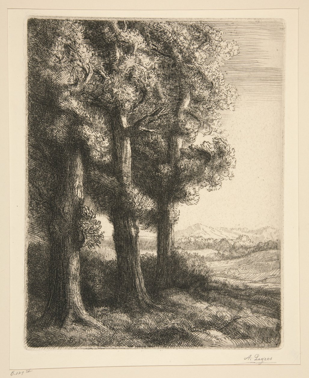 Eine Ecke im Wald von Alphonse Legros