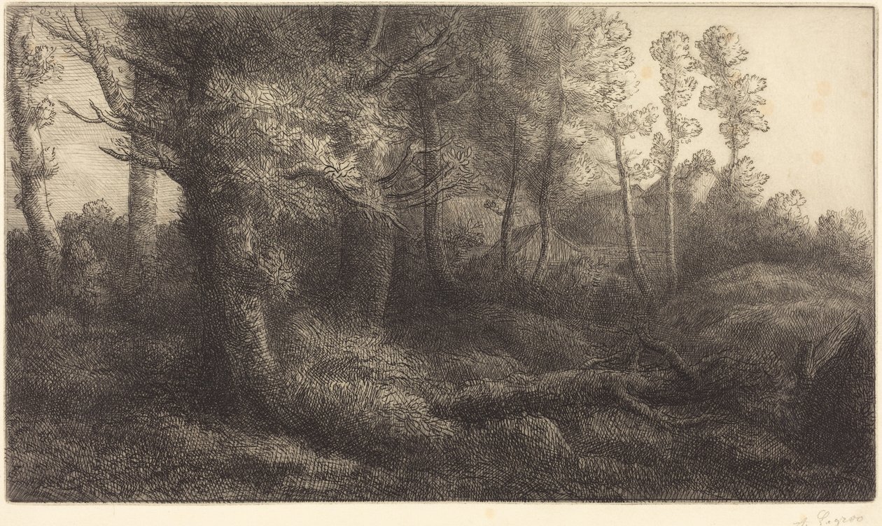Im Wald (Lisiere de foret) von Alphonse Legros