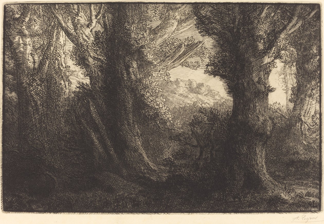 Im Wald von Conteville Dans la forêt de Conteville von Alphonse Legros