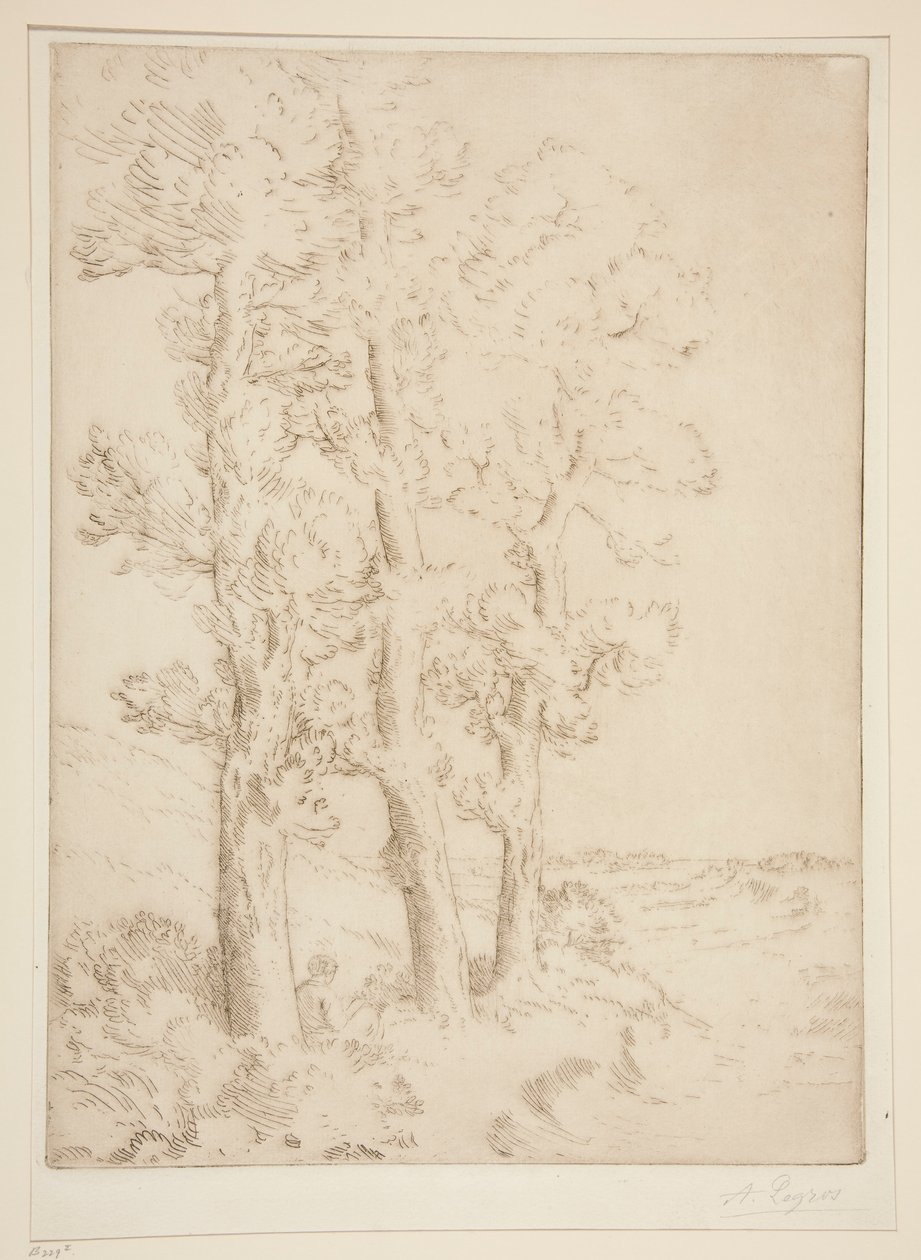 La liseuse: La lecture sous les arbres (Lesende Frau: Lektion unter den Bäumen) von Alphonse Legros