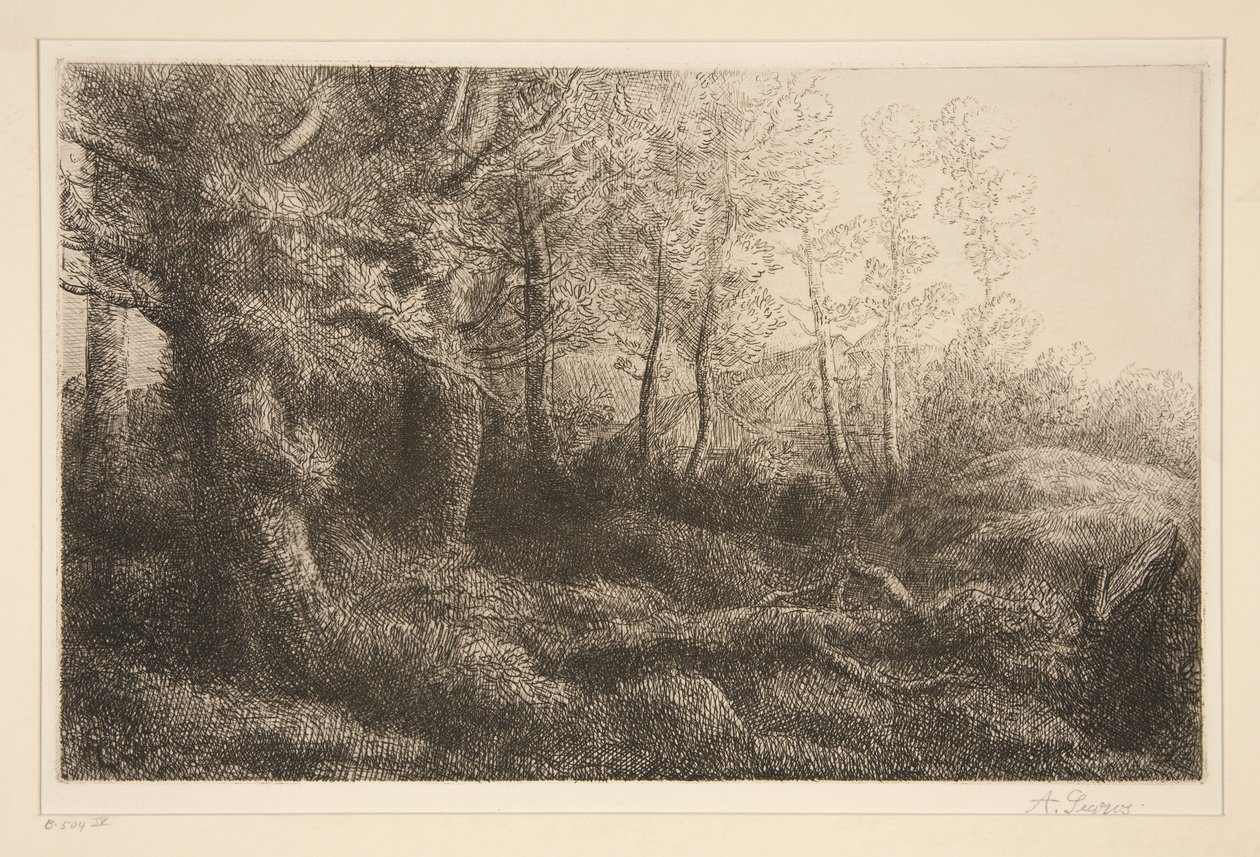 Waldsaum von Alphonse Legros