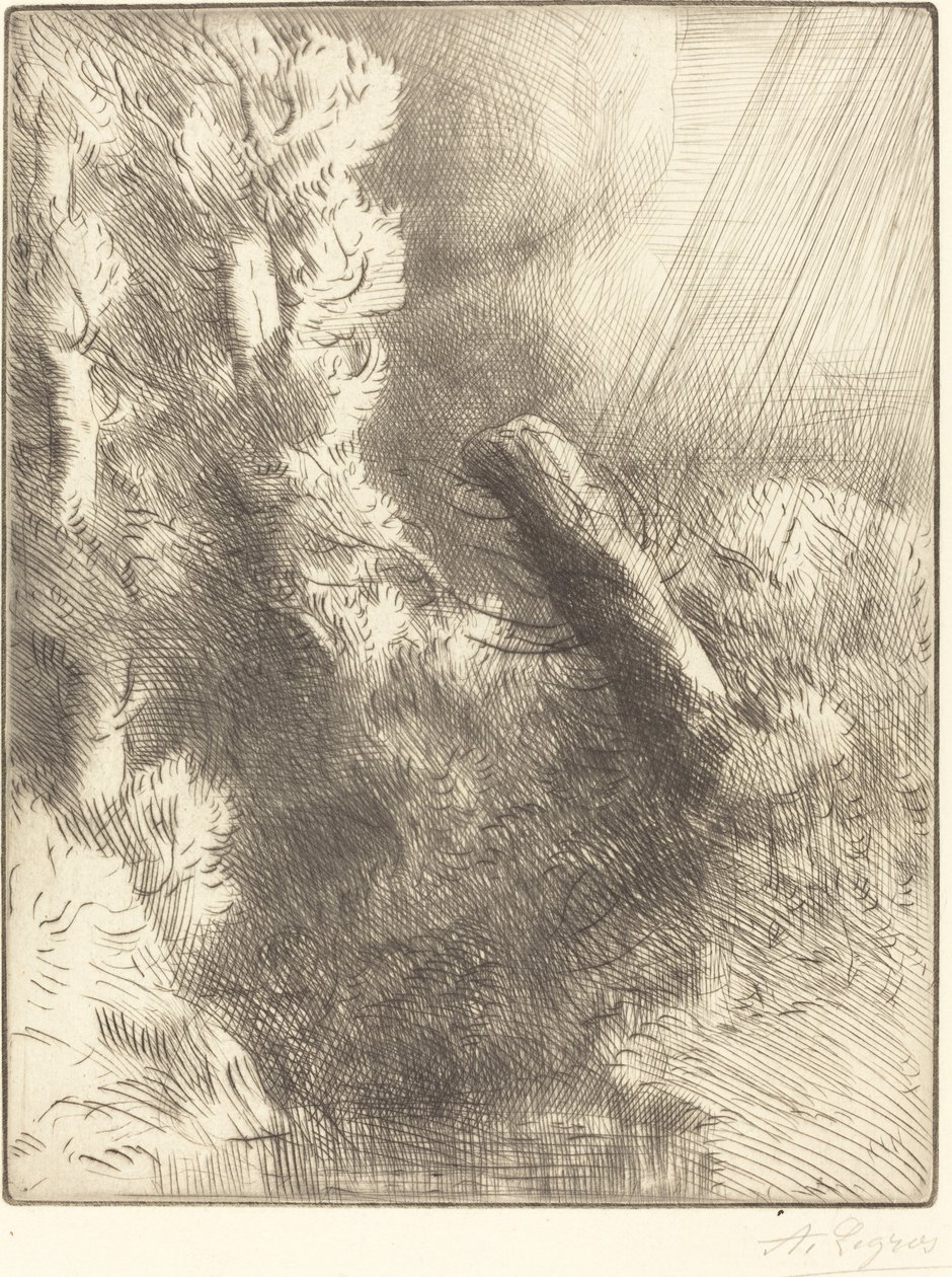 Erinnerungen an Fontainebleau im Regen Souvenir de Fontainebleau Effet de pluie von Alphonse Legros