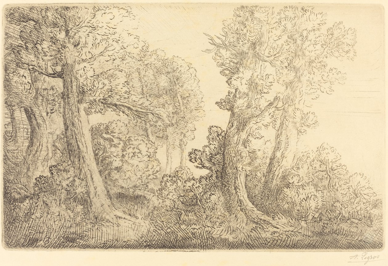 Nahe dem Wald, Veronne (Pres du bois, Veronne) von Alphonse Legros