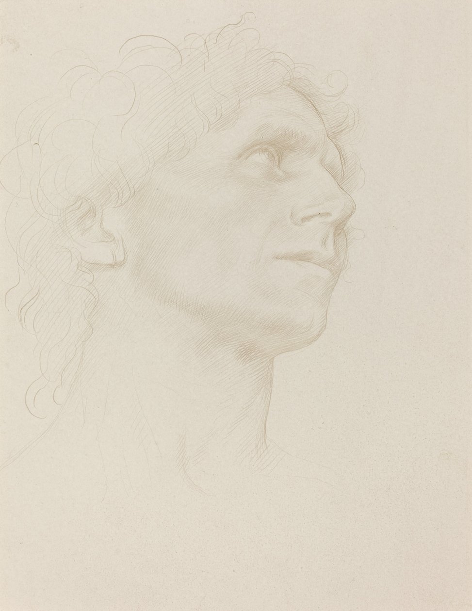 Studie eines Frauenkopfes, nach rechts gewandt von Alphonse Legros