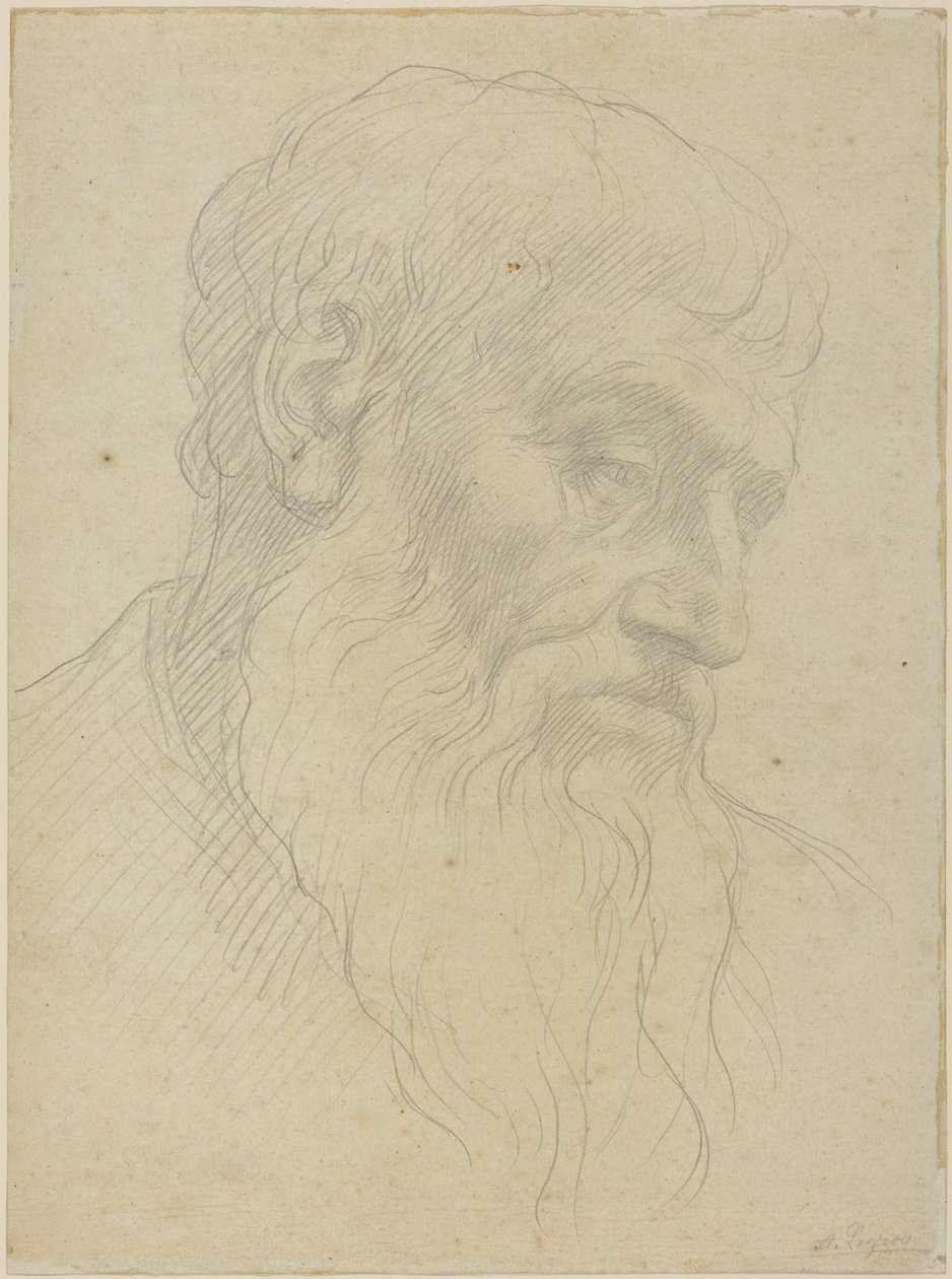 Studie eines Kopfes von Alphonse Legros