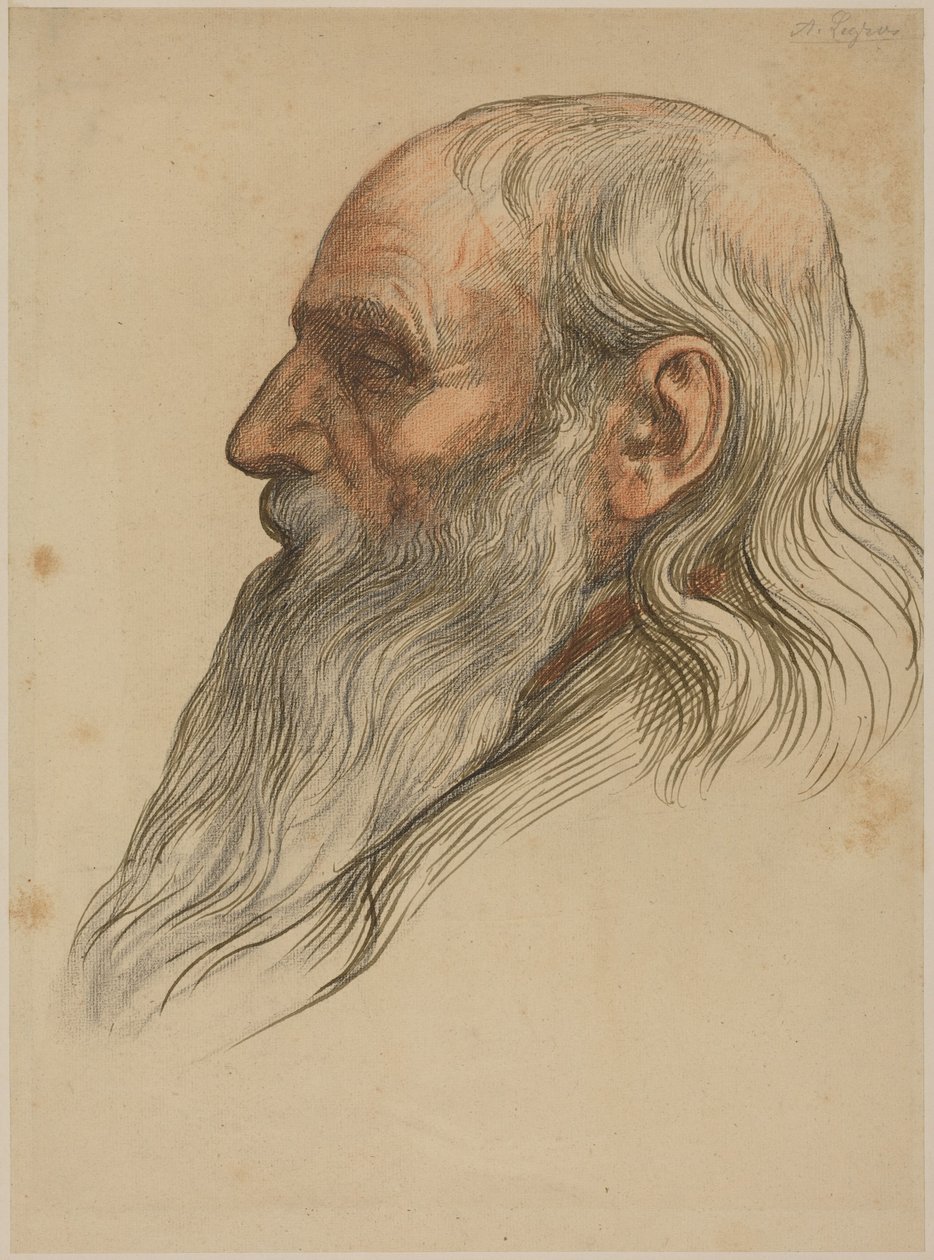 Studie eines Männerkopfes mit vollem Bart von Alphonse Legros
