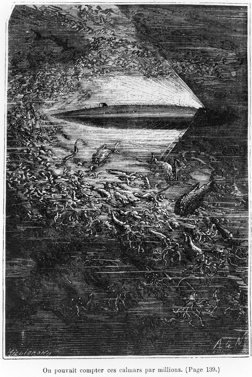 Illustration aus 