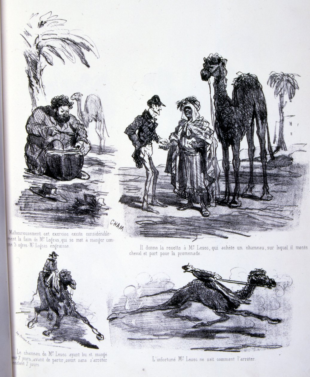 Illustration für Die Kunst des Zunehmens und Abnehmens von Amédée de Noé